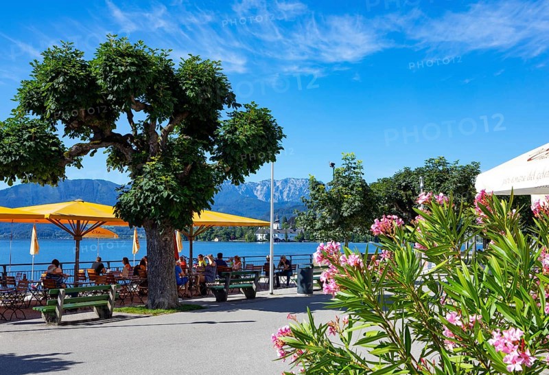 Guest garden at the Esplanade