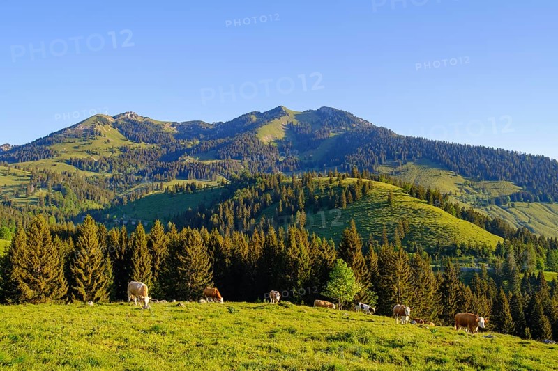 Wendelstein and Wildalpjoch