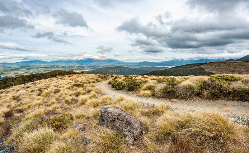 Hiking trail through grassland