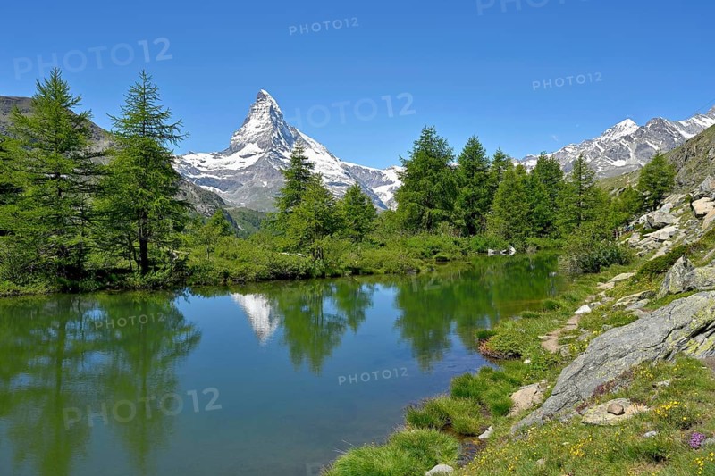 Larches