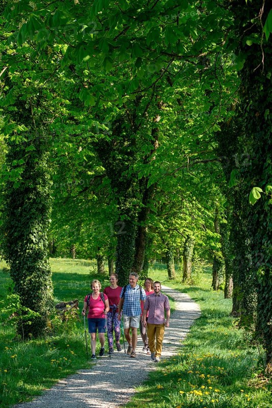 Group hiking