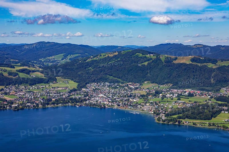 View from the tree top walk to the Lake Traun and Traunkirchen and Gruenberg