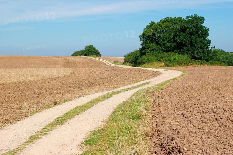 Field path winds through freshly ploughed field