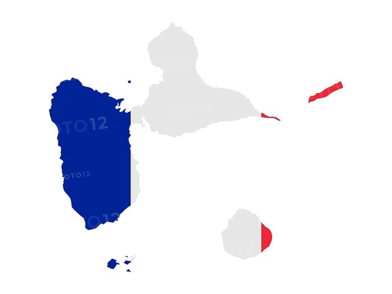 Flag in form form of the geographical country