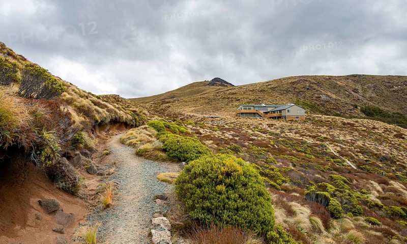 Kepler Track hiking trail