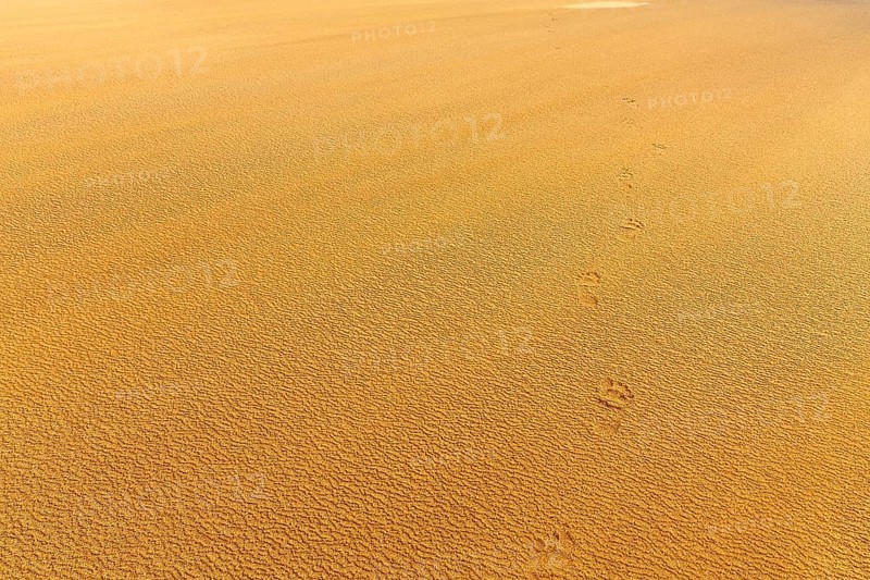 Wind blowing over structures in the sand