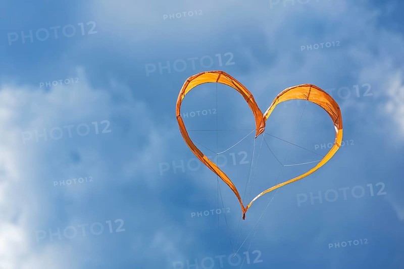 Sunlit heart-shaped dragon