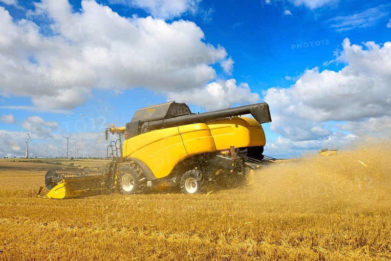 Two combine harvesters in a cornfield harvesting barley