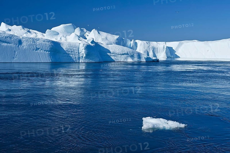 Gigantic icebergs in the ice fjord