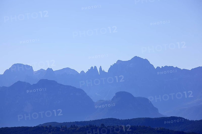 Mountain massif rose garden at the blue hour