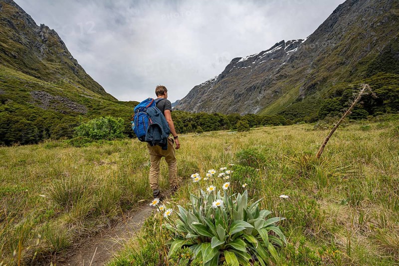 Hiker on Hiking Trail