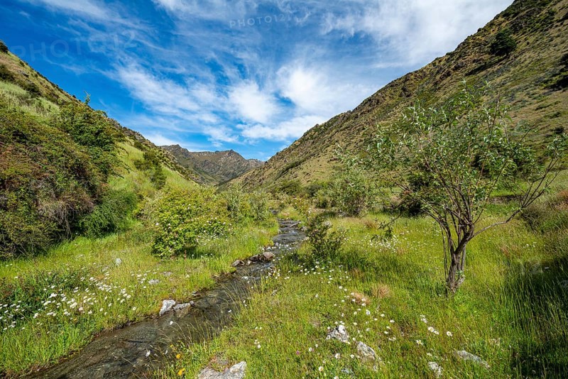 Green valley