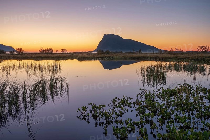 Swampland
