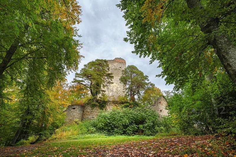 The Altboman castle ruins on the Bodanrueck