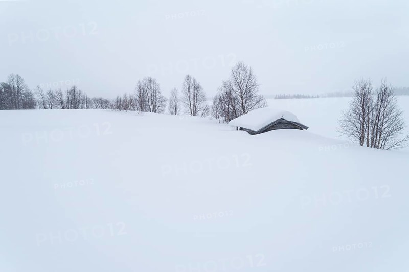 Lonely wooden house in wide landscape in snow in winter with bare trees