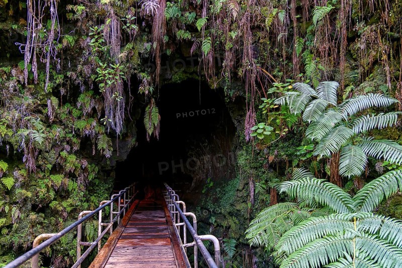 Entrance to Thurston Lava Tube