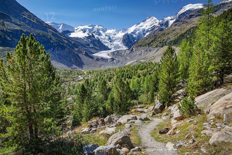 Hiking trail in the Morteratsch Valley with Bellavista