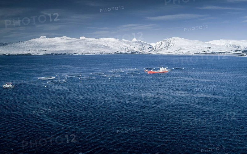Salmon farm with supply boat in a fjord