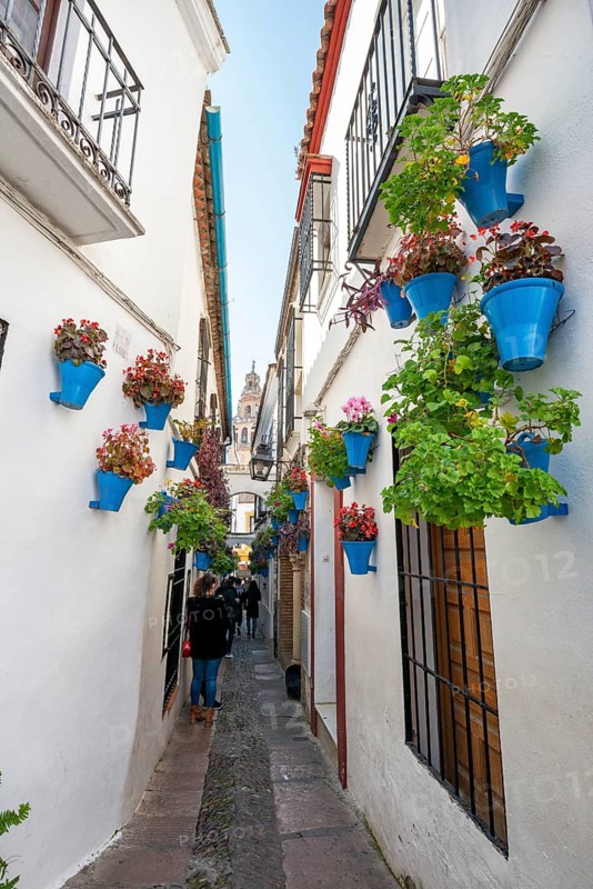 Calle de las Flores