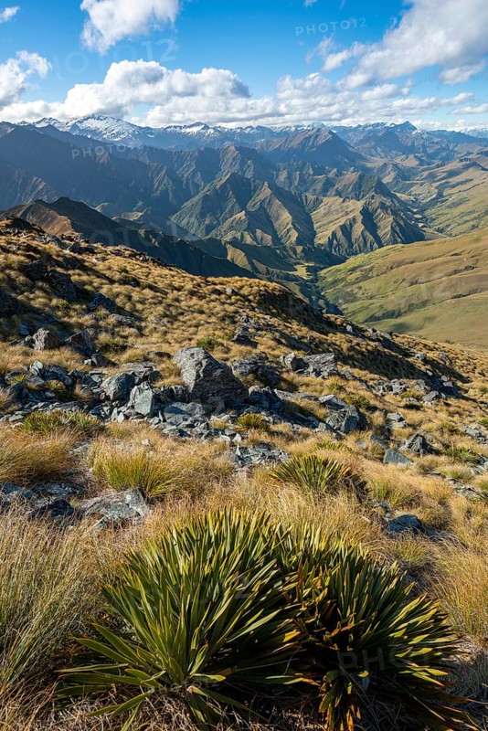 Hiking trail to Ben Lomond