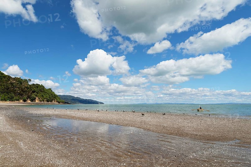 Firth of Thames