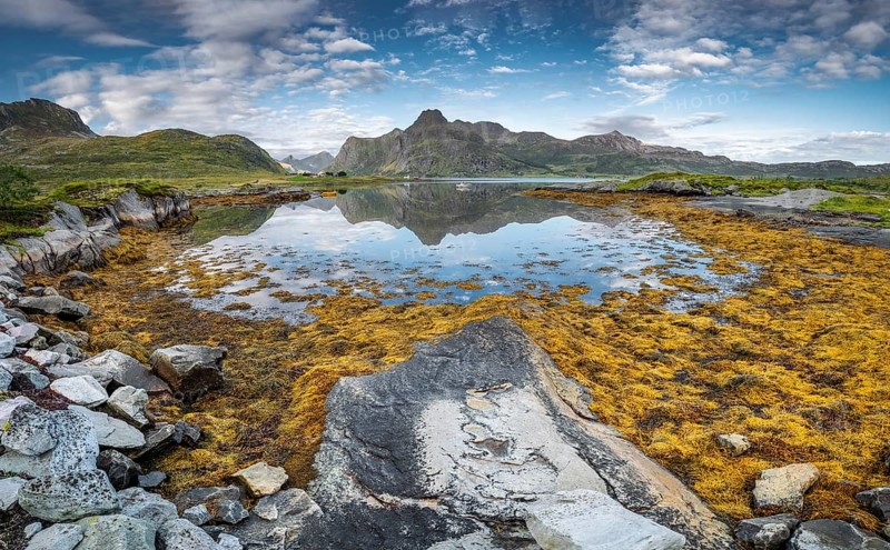 Fjord landscape at low tide