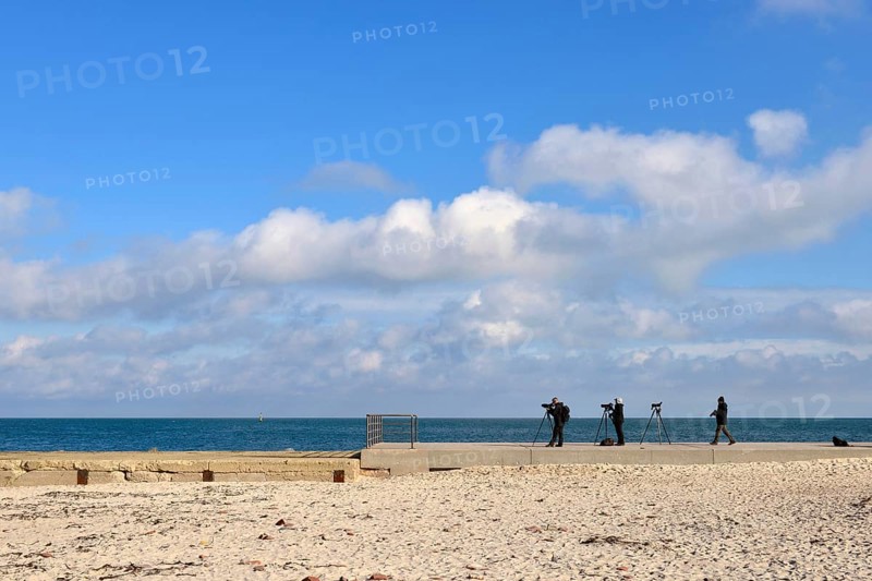 Hobby ornithologists with spotting scopes on Helgoland