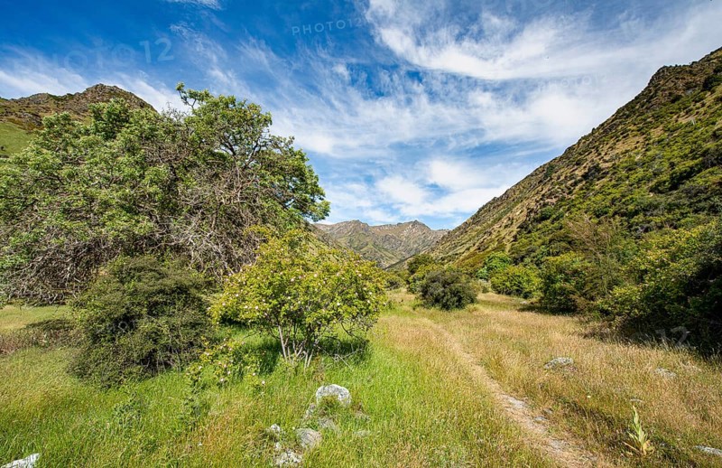 Hiking trail in the valley of Grandview Creek