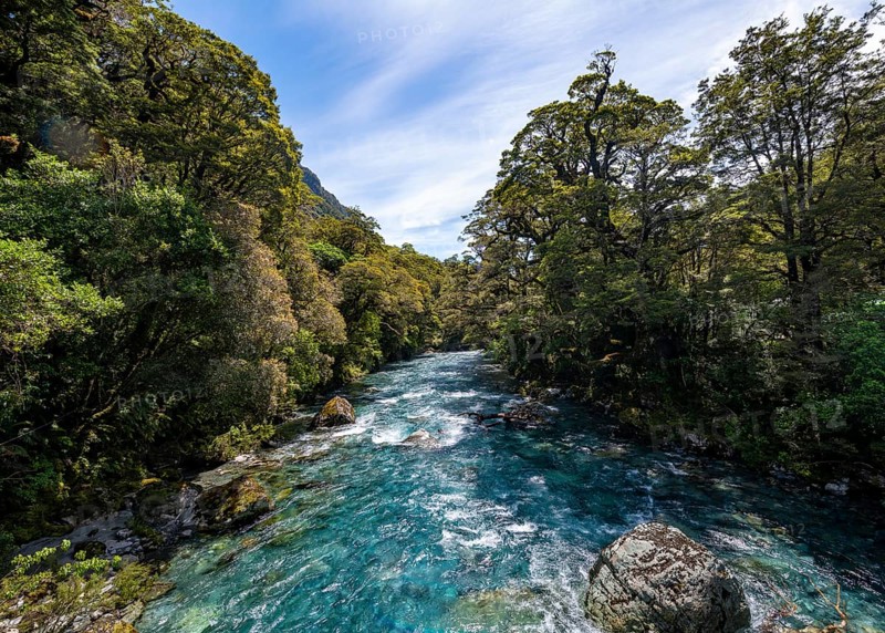 Hollyford River