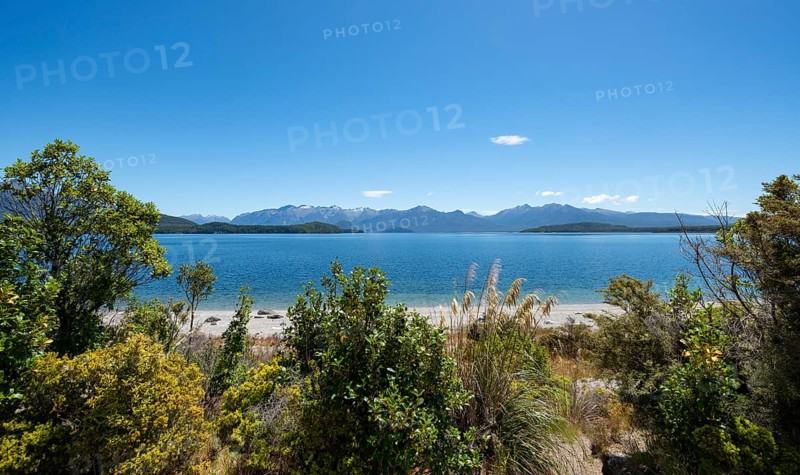 Beach at the lake