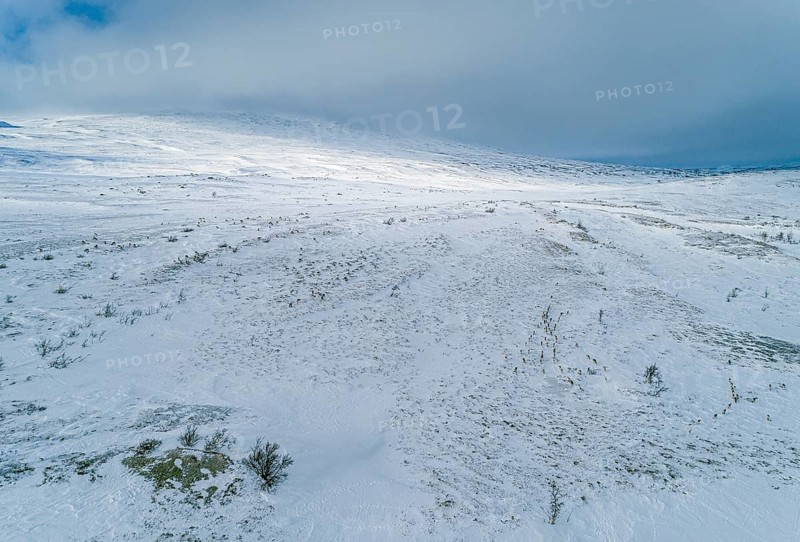 Fjell with snow pressed by the wind