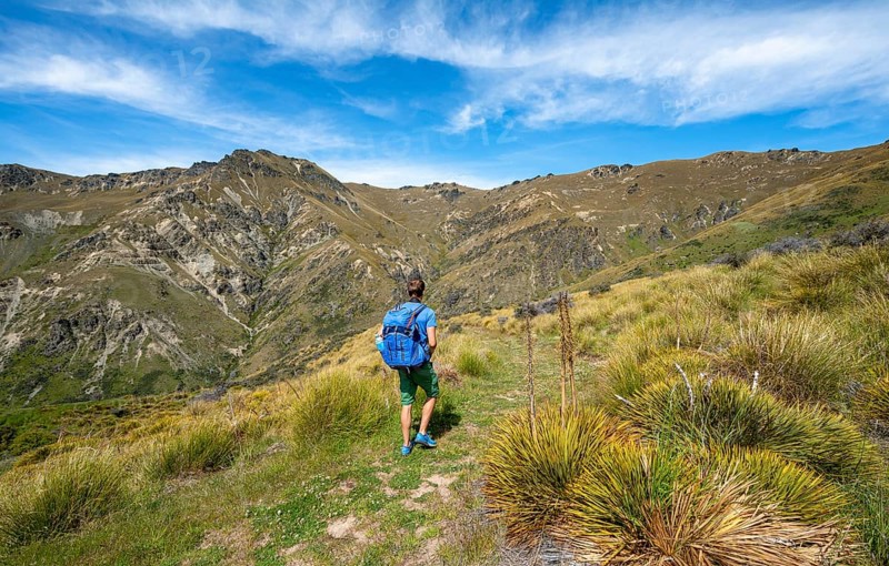 Hikers on trail