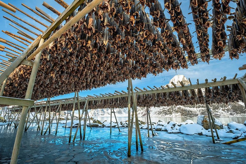 Stockfish on wooden rack