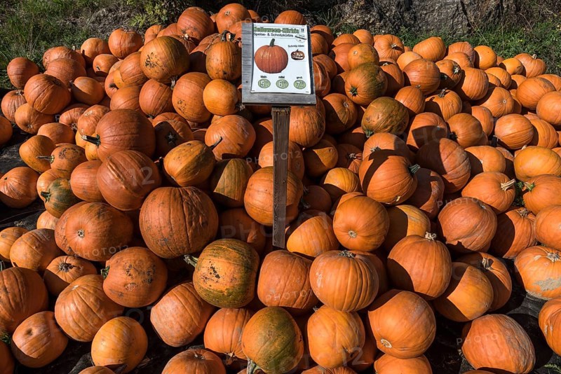 Halloween pumpkins
