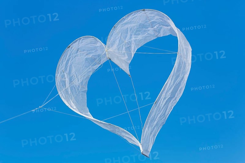 Heart-shaped dragon