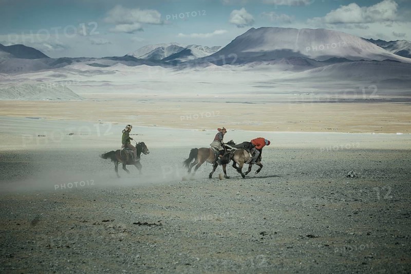 Festival of eagle hunters in Olgii Province