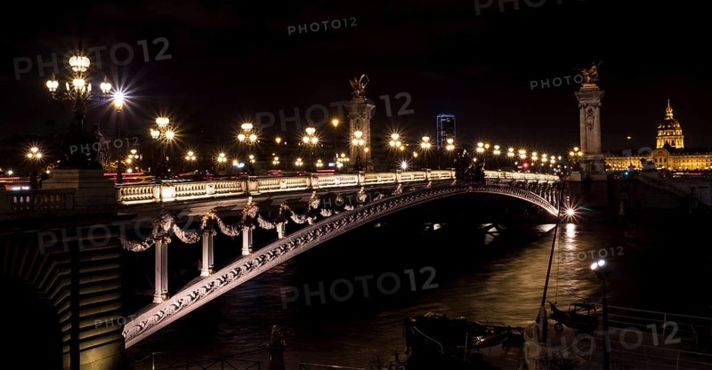 Night view of the illuminated bridge of Pont Alexandre III