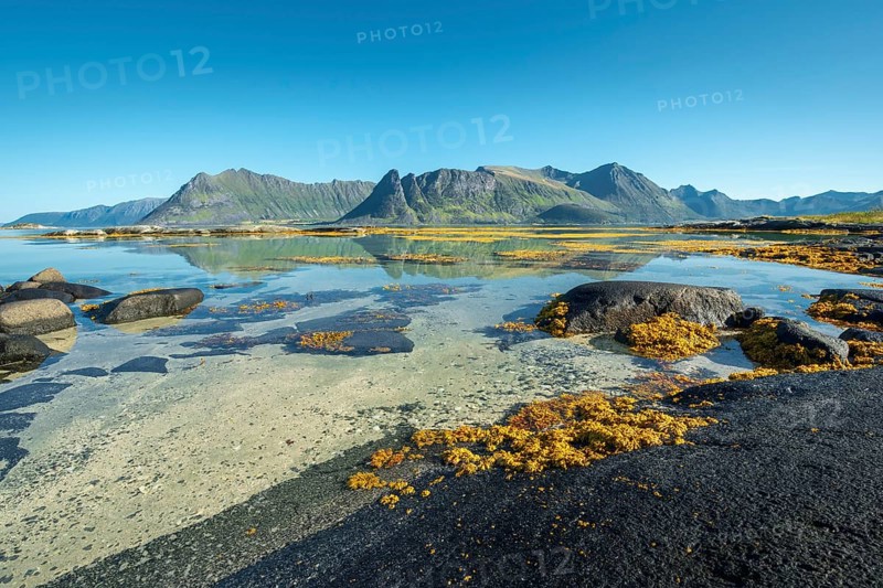Shallow coastal waters