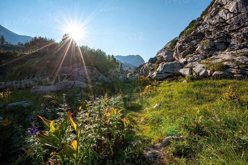Karst landscape