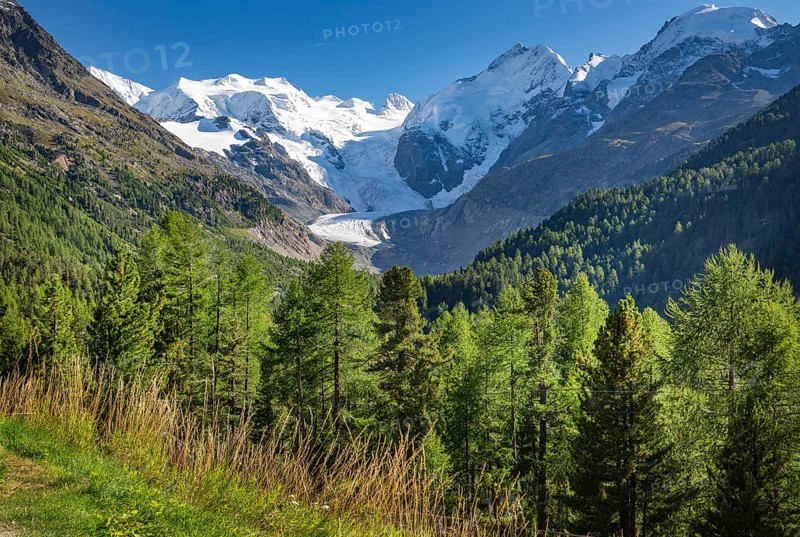 Morteratsch Valley with Bellavista