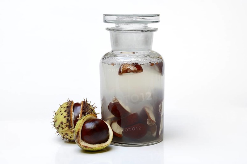 Chestnut