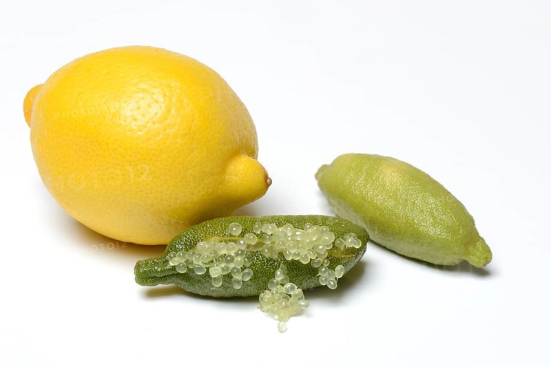 Australian finger lime