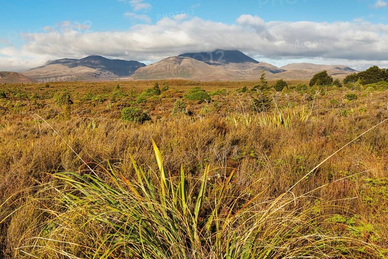 Mount Ngauruhoe