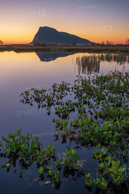 Swampland