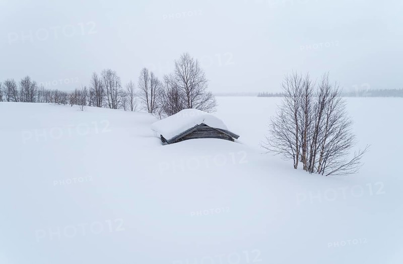 Lonely wooden house in wide landscape in snow in winter with bare trees