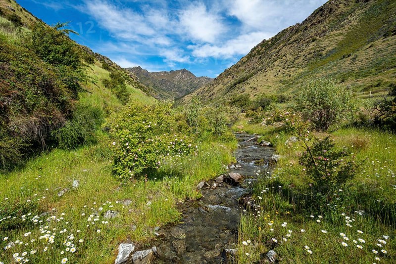 Green valley