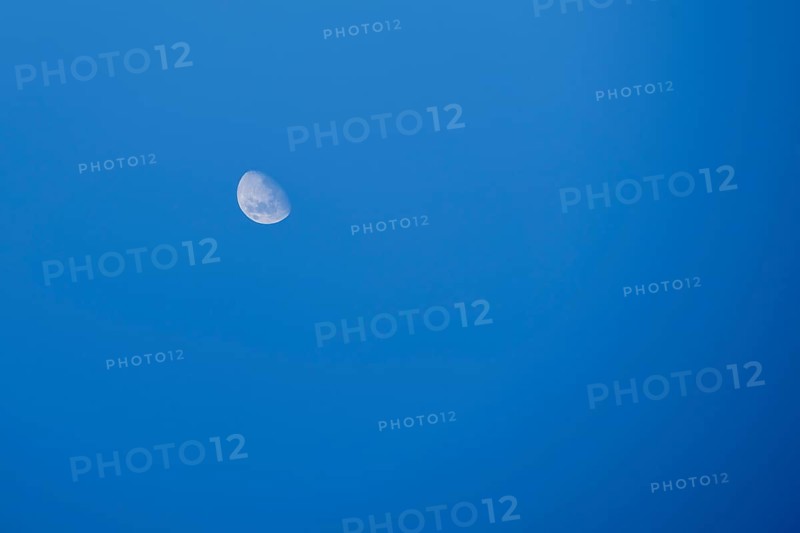 Waning crescent in the daytime sky