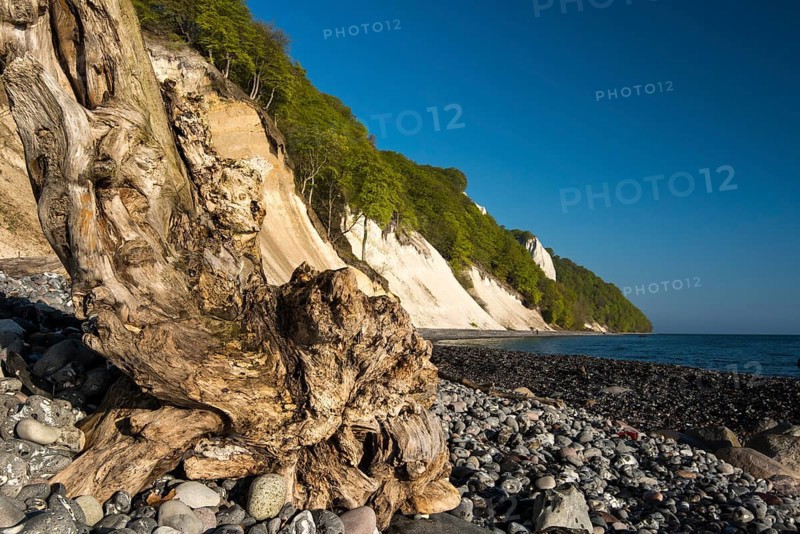 View of the chalk cliffs in the Jasmund National Park on Ruegen