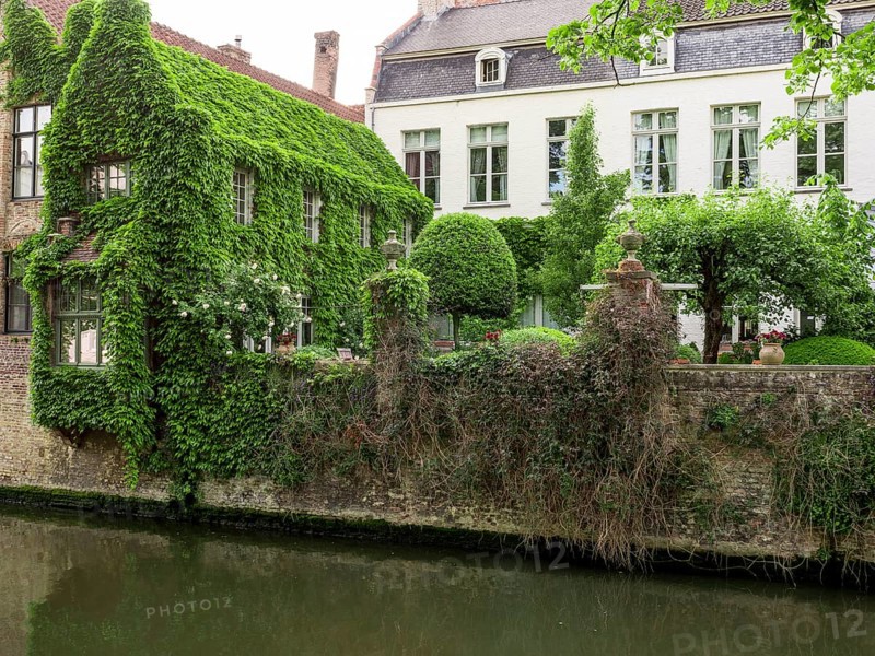 The house overgrown with vines behind the Church of Our Dear Lady