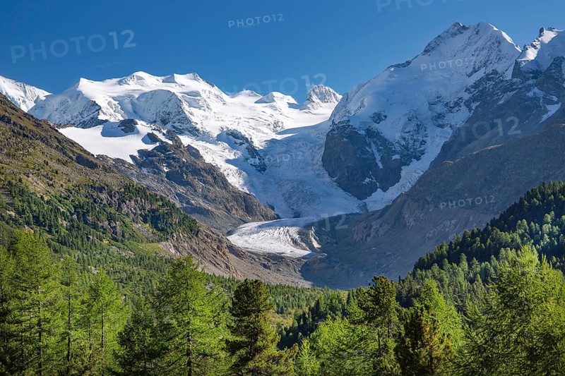 Morteratsch Valley with Bellavista
